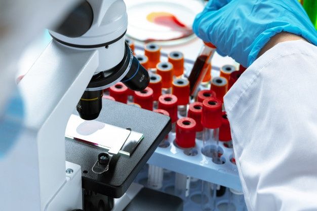 investigadores